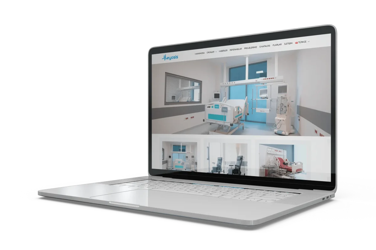 web site tasarım referans meyosis