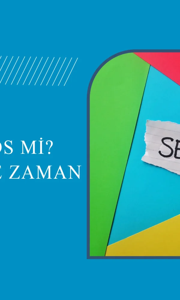 seo mu google ads mi